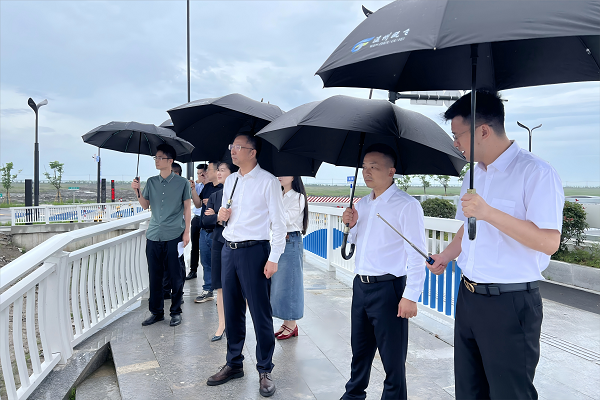 网站.png 网站.png